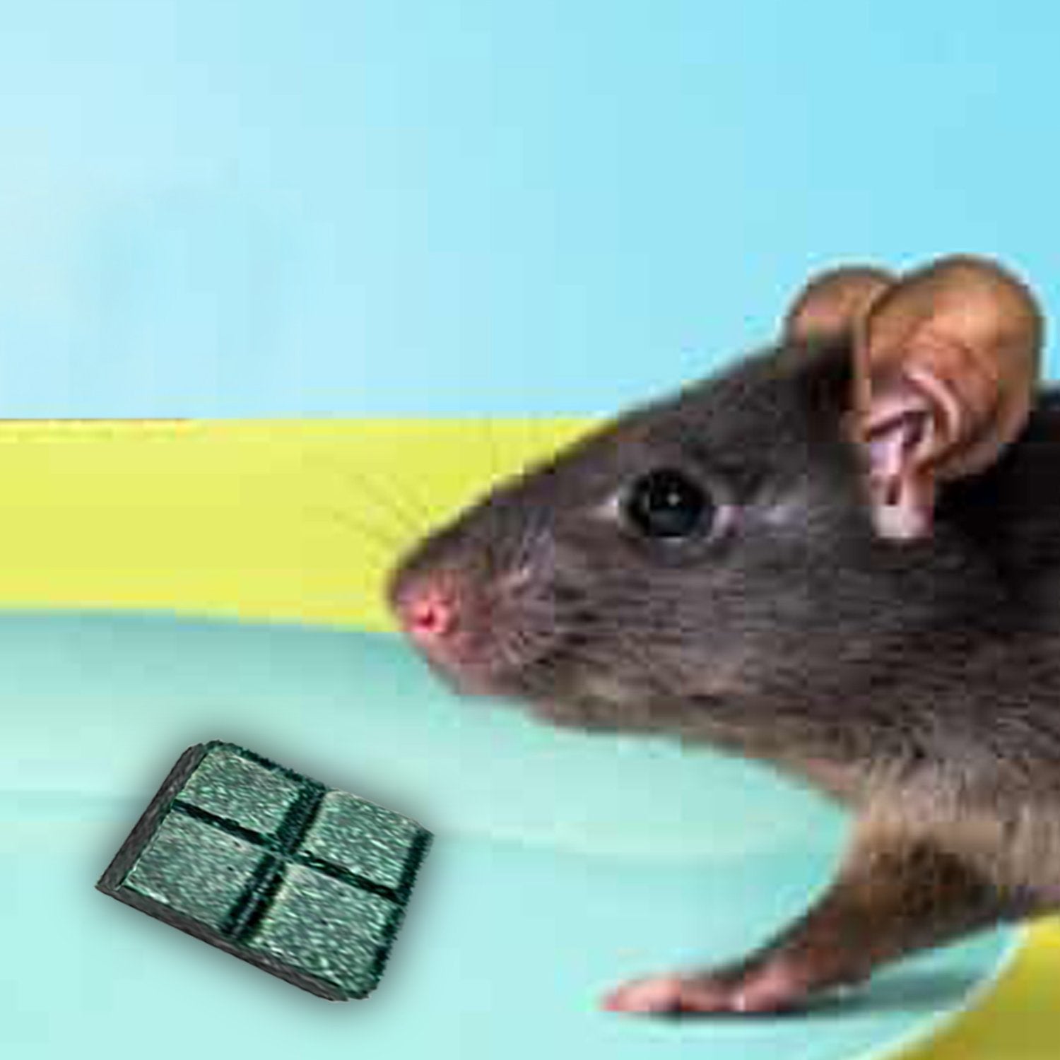 297 100gm PCI Roban the Rat Killer (Brown) BIG DeoDap