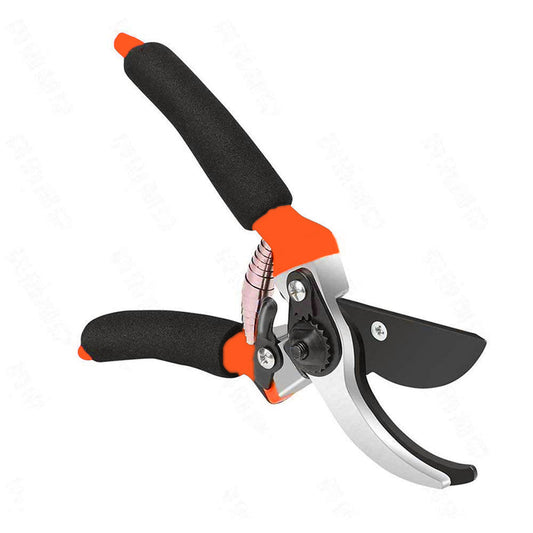479 Garden Shears Sharp Cutter Pruners Scissor, Pruner JK Trends